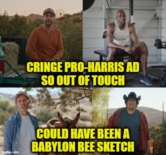 Full throated endorsement? | CRINGE PRO-HARRIS AD
SO OUT OF TOUCH; COULD HAVE BEEN A
BABYLON BEE SKETCH | image tagged in kamala harris | made w/ Imgflip meme maker