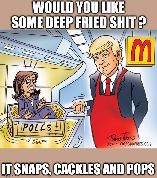 McD's has gone way downhill with the menu | WOULD YOU LIKE SOME DEEP FRIED SHIT ? IT SNAPS, CACKLES AND POPS | made w/ Imgflip meme maker