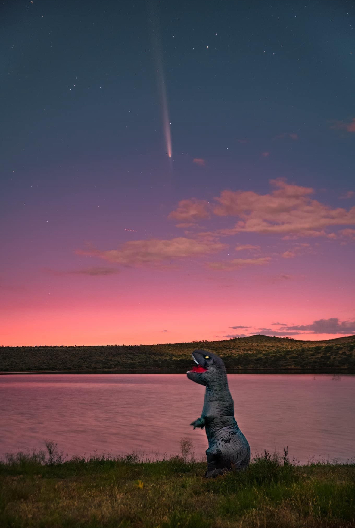 Comet Blank Meme Template