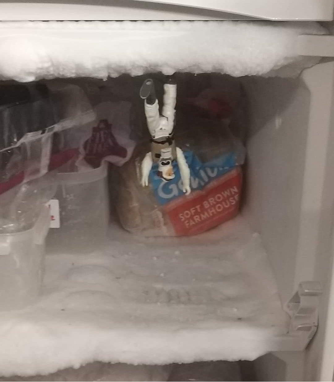 hoth freezer Blank Meme Template