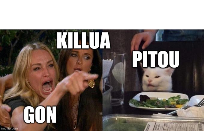 Gon near the end of the chimera ant ark | KILLUA; PITOU; GON | image tagged in memes,woman yelling at cat | made w/ Imgflip meme maker