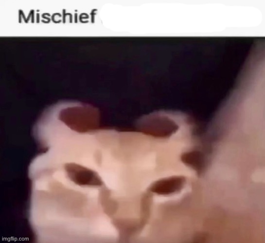 Mischief mode activated | image tagged in mischief mode activated | made w/ Imgflip meme maker