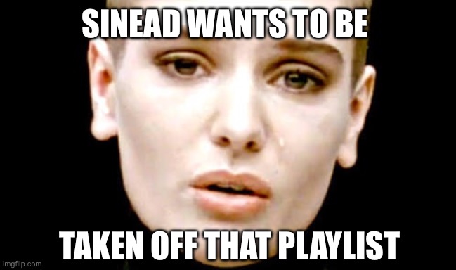 Nothing sinead | SINEAD WANTS TO BE TAKEN OFF THAT PLAYLIST | image tagged in nothing sinead | made w/ Imgflip meme maker