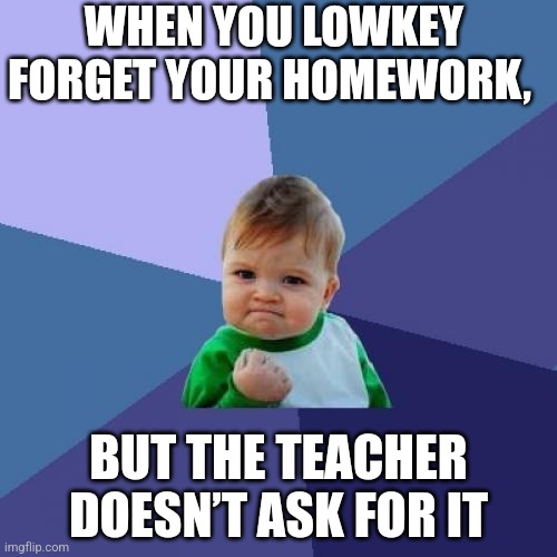 +100,000 AURA | WHEN YOU LOWKEY FORGET YOUR HOMEWORK, BUT THE TEACHER DOESN’T ASK FOR IT | image tagged in memes,success kid | made w/ Imgflip meme maker