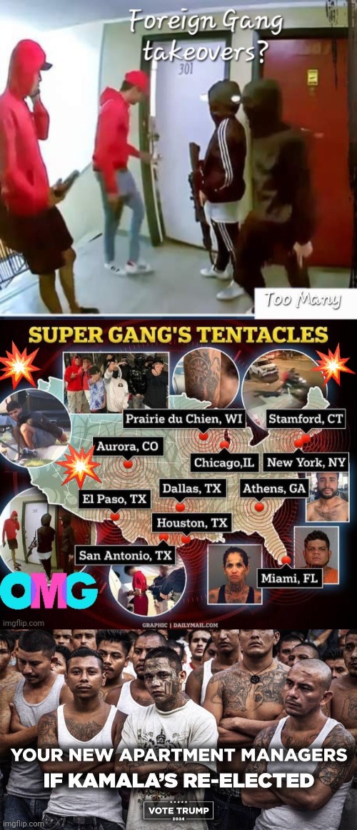 Your new landlords if Kamala gets in | image tagged in gangs,kamala harris,land,lord | made w/ Imgflip meme maker