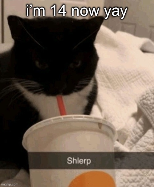 Shlerp | i’m 14 now yay | image tagged in shlerp | made w/ Imgflip meme maker