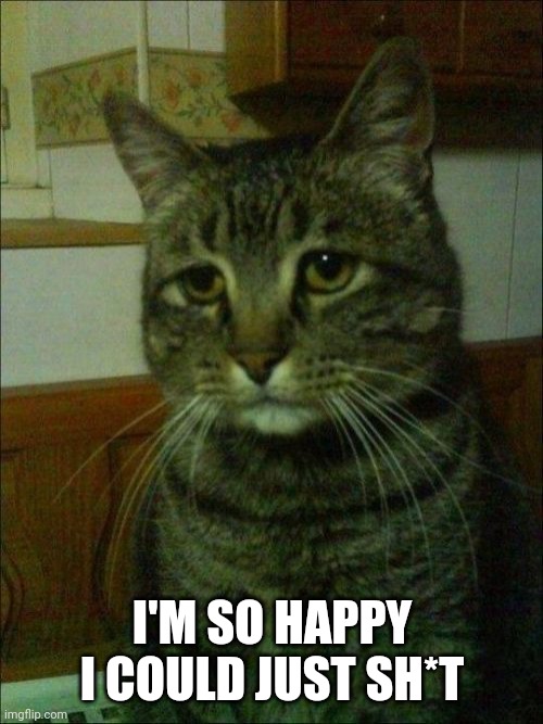 Depressed Cat Meme | I'M SO HAPPY I COULD JUST SH*T | image tagged in memes,depressed cat | made w/ Imgflip meme maker