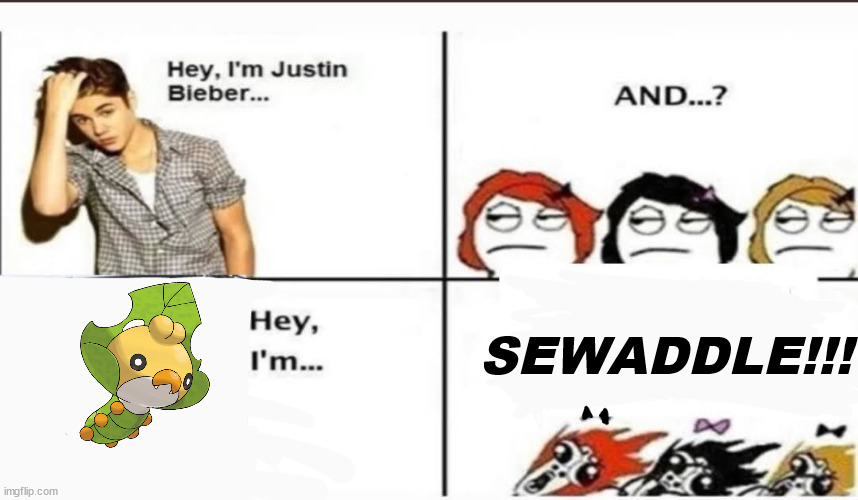 Hey, I'm Justin Bieber | SEWADDLE!!! | image tagged in hey i'm justin bieber | made w/ Imgflip meme maker