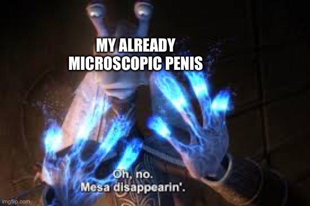 oh no mesa disappearing | MY ALREADY MICROSCOPIC PENIS | image tagged in oh no mesa disappearing | made w/ Imgflip meme maker