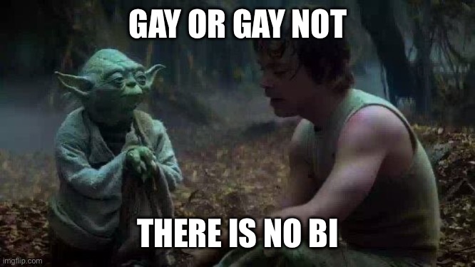 Homophobes | GAY OR GAY NOT; THERE IS NO BI | image tagged in yoda do not try | made w/ Imgflip meme maker