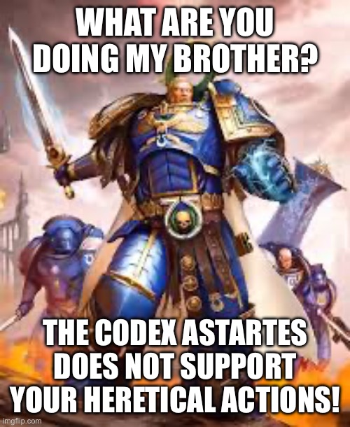 What are you doing brother? | WHAT ARE YOU DOING MY BROTHER? THE CODEX ASTARTES DOES NOT SUPPORT YOUR HERETICAL ACTIONS! | image tagged in what are you doing brother | made w/ Imgflip meme maker