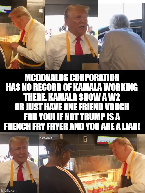 President Trump is a French fry fryer! Kamala is a Liar!! | MCDONALDS CORPORATION HAS NO RECORD OF KAMALA WORKING THERE. KAMALA SHOW A W2 OR JUST HAVE ONE FRIEND VOUCH FOR YOU! IF NOT TRUMP IS A FRENCH FRY FRYER AND YOU ARE A LIAR! | image tagged in french fries,liar liar | made w/ Imgflip meme maker