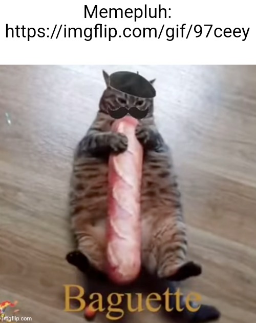 Baguette Cat | Memepluh: https://imgflip.com/gif/97ceey | image tagged in baguette cat | made w/ Imgflip meme maker