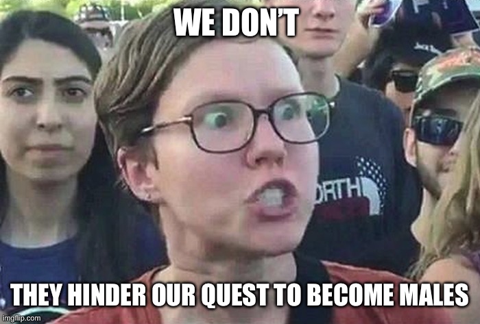 Triggered Liberal | WE DON’T THEY HINDER OUR QUEST TO BECOME MALES | image tagged in triggered liberal | made w/ Imgflip meme maker