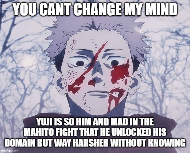 where you go i go | YOU CANT CHANGE MY MIND; YUJI IS SO HIM AND MAD IN THE MAHITO FIGHT THAT HE UNLOCKED HIS DOMAIN BUT WAY HARSHER WITHOUT KNOWING | image tagged in yuji itadori | made w/ Imgflip meme maker