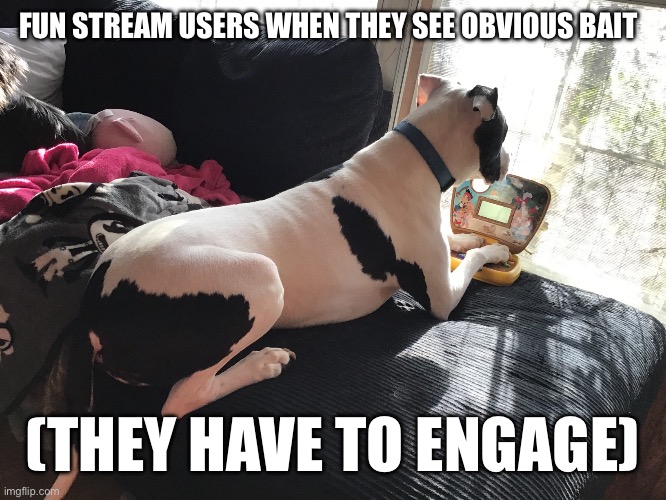 Computer typing dog | FUN STREAM USERS WHEN THEY SEE OBVIOUS BAIT; (THEY HAVE TO ENGAGE) | image tagged in computer typing dog | made w/ Imgflip meme maker