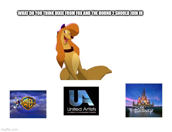 What do you think about Dixie | WHAT DO YOU THINK DIXIE FROM FOX AND THE HOUND 2 SHOULD JOIN IN | image tagged in reba mcentire,the fox and the hound 2,united artists,disney,warner bros,hollywood | made w/ Imgflip meme maker