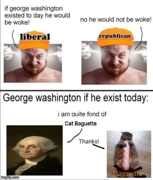 Cat Baguette | Cat Baguette | image tagged in george washington if he existed today | made w/ Imgflip meme maker