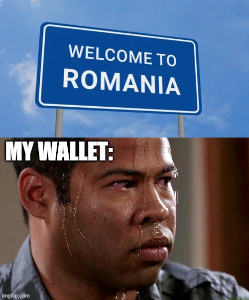 Fun fact: A Romanian can reach a wallet faster than a bacteria | MY WALLET: | image tagged in romania,memes | made w/ Imgflip meme maker