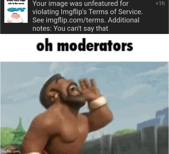 mod abuse | image tagged in oh moderators | made w/ Imgflip meme maker