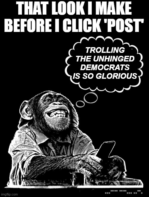 MONKEY BIZ | THAT LOOK I MAKE BEFORE I CLICK 'POST'; TROLLING THE UNHINGED DEMOCRATS IS SO GLORIOUS | image tagged in monkey biz | made w/ Imgflip meme maker