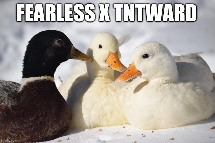 Dunkin Ducks | FEARLESS X TNTWARD | image tagged in dunkin ducks | made w/ Imgflip meme maker