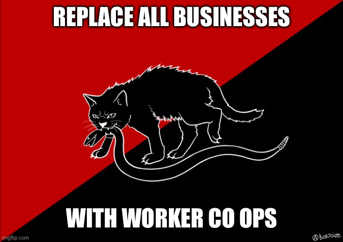 No more capitalism | REPLACE ALL BUSINESSES; WITH WORKER CO OPS | image tagged in sabo cat with snake,socialism,communism | made w/ Imgflip meme maker