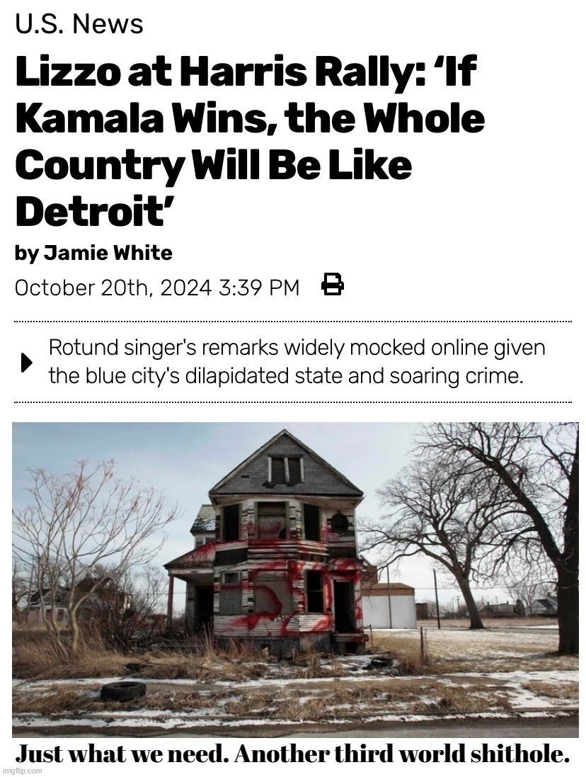 Just what we need. Another third world shithole. | image tagged in lizzo,kamala's america,third world,shithole,shithole cities,detroit | made w/ Imgflip meme maker