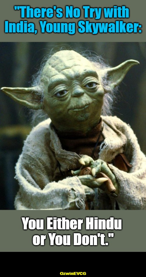 When in the Indian Subcontinent | "There's No Try with 

India, Young Skywalker:; You Either Hindu 

or You Don't."; OzwinEVCG | image tagged in yoda,skywalker,hinduism,philosophy,this or that,you must choose | made w/ Imgflip meme maker