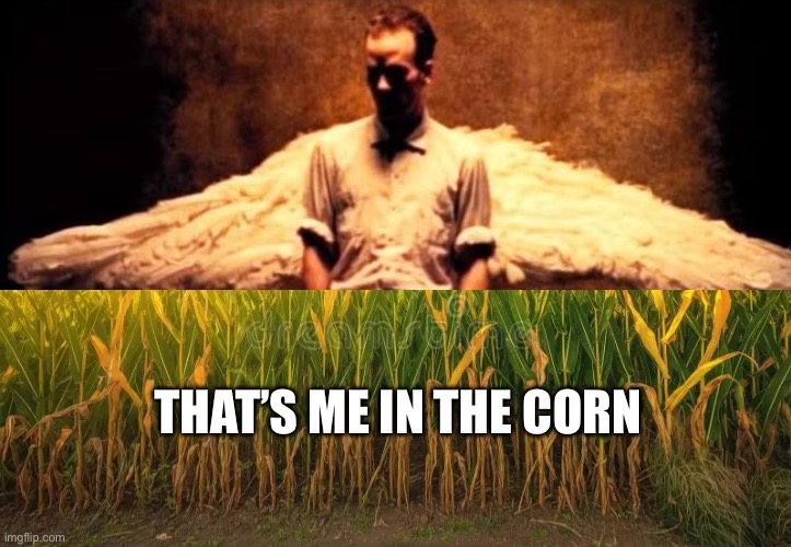 THAT’S ME IN THE CORN | image tagged in losing my religion,rem | made w/ Imgflip meme maker