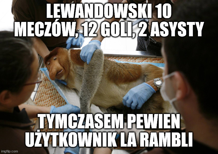 Nosacz zawał | LEWANDOWSKI 10 MECZÓW, 12 GOLI, 2 ASYSTY; TYMCZASEM PEWIEN UŻYTKOWNIK LA RAMBLI | image tagged in nosacz zawa | made w/ Imgflip meme maker