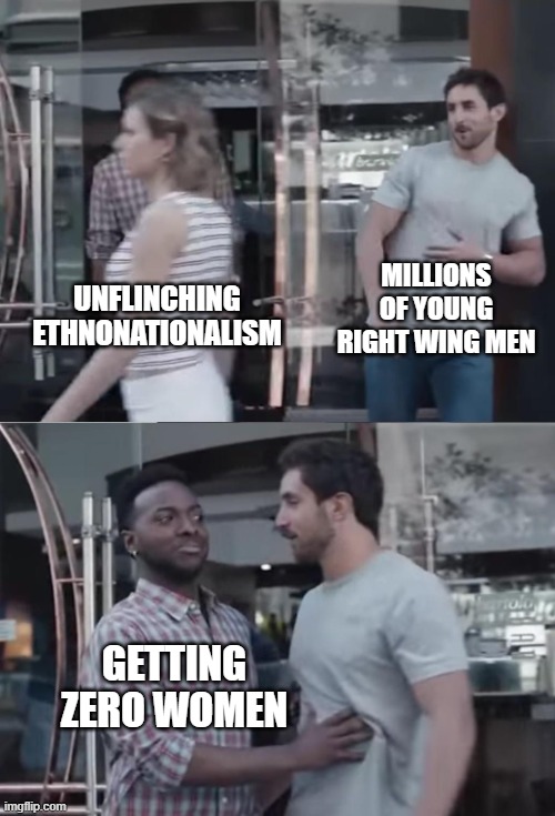 Bro, Not Cool. | MILLIONS OF YOUNG RIGHT WING MEN; UNFLINCHING ETHNONATIONALISM; GETTING ZERO WOMEN | image tagged in bro not cool | made w/ Imgflip meme maker