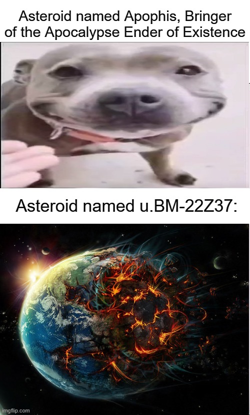 average pitbull named cupcake | Asteroid named Apophis, Bringer of the Apocalypse Ender of Existence; Asteroid named u.BM-22Z37: | image tagged in average pitbull named cupcake | made w/ Imgflip meme maker