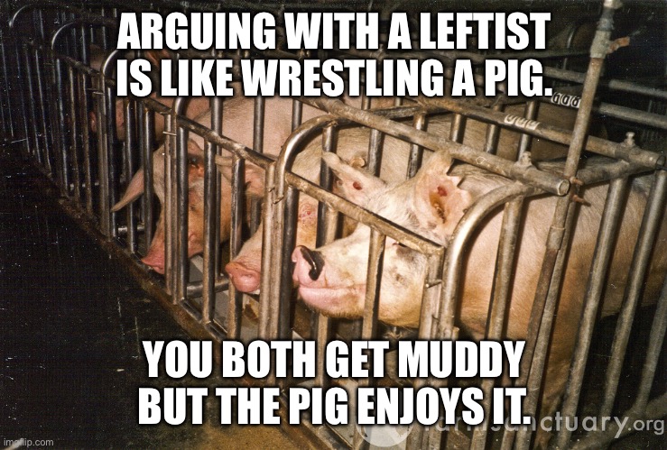 pigs on a farm | ARGUING WITH A LEFTIST IS LIKE WRESTLING A PIG. YOU BOTH GET MUDDY BUT THE PIG ENJOYS IT. | image tagged in pigs on a farm | made w/ Imgflip meme maker