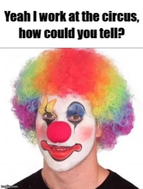 image tagged in clown | made w/ Imgflip meme maker