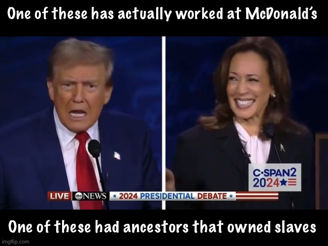 One has stolen McValor | One of these has actually worked at McDonald’s; One of these had ancestors that owned slaves | image tagged in politics lol,memes,derp | made w/ Imgflip meme maker