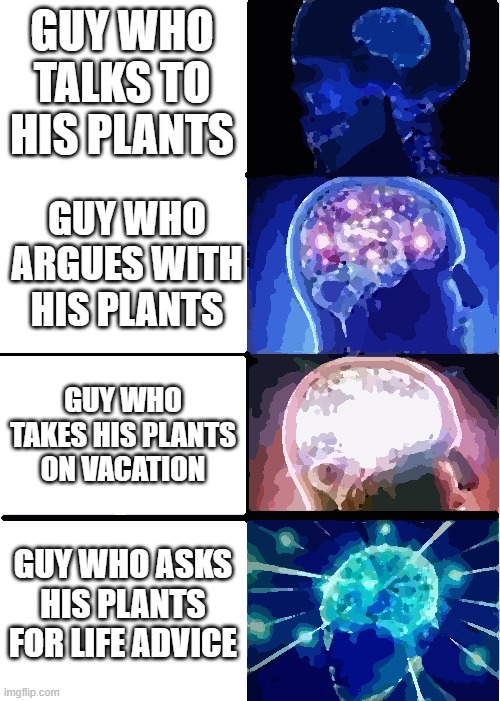 Expanding Brain | GUY WHO TALKS TO HIS PLANTS; GUY WHO ARGUES WITH HIS PLANTS; GUY WHO TAKES HIS PLANTS ON VACATION; GUY WHO ASKS HIS PLANTS FOR LIFE ADVICE | image tagged in memes,expanding brain | made w/ Imgflip meme maker