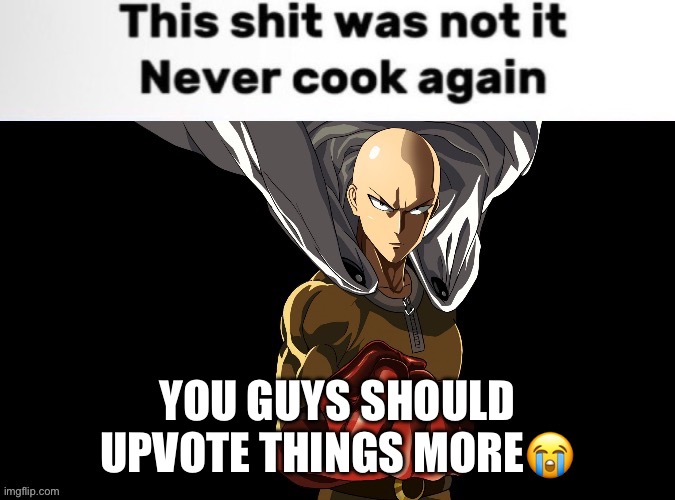 Like I see images with hundreds of views but only 30 ups | YOU GUYS SHOULD UPVOTE THINGS MORE😭 | image tagged in saitama never cook again | made w/ Imgflip meme maker