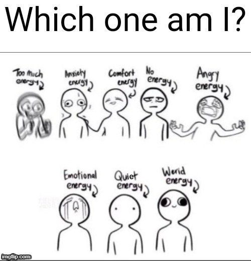 oh how I wonder :P | image tagged in which one am i | made w/ Imgflip meme maker