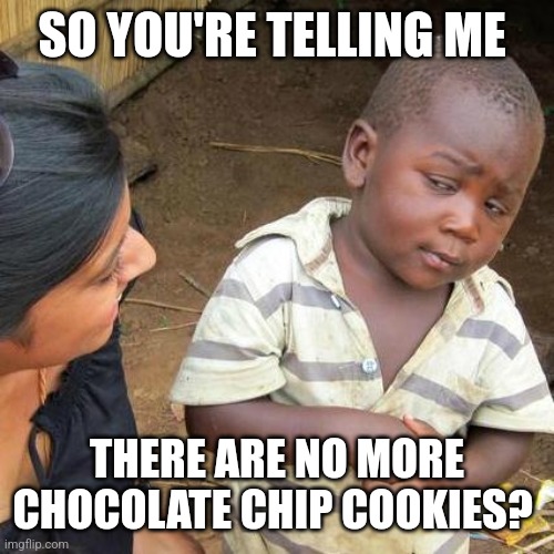 No more cookies | SO YOU'RE TELLING ME; THERE ARE NO MORE CHOCOLATE CHIP COOKIES? | image tagged in memes,third world skeptical kid | made w/ Imgflip meme maker