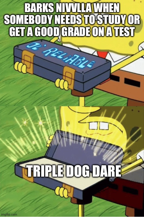 Good ol' reliable | BARKS NIVVLLA WHEN SOMEBODY NEEDS TO STUDY OR GET A GOOD GRADE ON A TEST; TRIPLE DOG DARE | image tagged in good ol' reliable | made w/ Imgflip meme maker