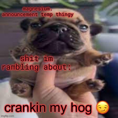 who up cranking they hog? | crankin my hog 😏 | image tagged in pug temp | made w/ Imgflip meme maker