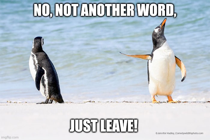 Funny penguin | NO, NOT ANOTHER WORD, JUST LEAVE! | image tagged in funny penguin | made w/ Imgflip meme maker