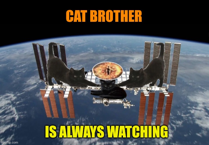 CAT BROTHER IS ALWAYS WATCHING | made w/ Imgflip meme maker