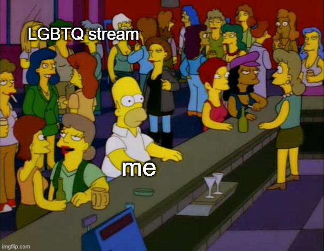 homer simpson me on facebook | LGBTQ stream; me | image tagged in homer simpson me on facebook | made w/ Imgflip meme maker