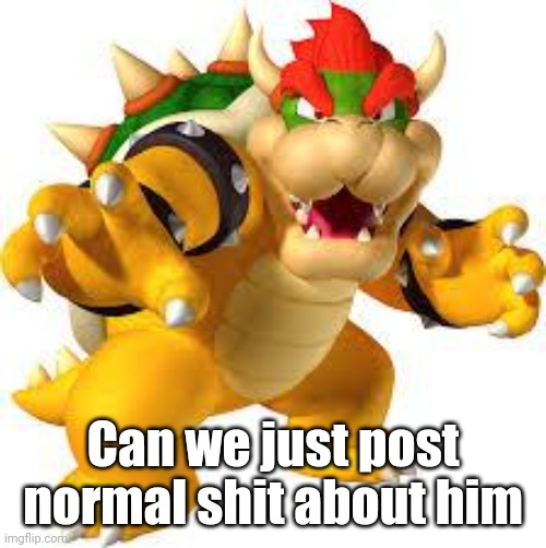 Bowser | Can we just post normal shit about him | image tagged in bowser | made w/ Imgflip meme maker