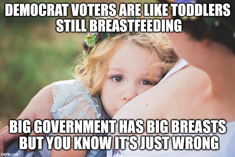 A TITTILATING FACT | DEMOCRAT VOTERS ARE LIKE TODDLERS
 STILL BREASTFEEDING; BIG GOVERNMENT HAS BIG BREASTS
 BUT YOU KNOW IT'S JUST WRONG | image tagged in welfare,big government,parasites,let's raise their taxes | made w/ Imgflip meme maker