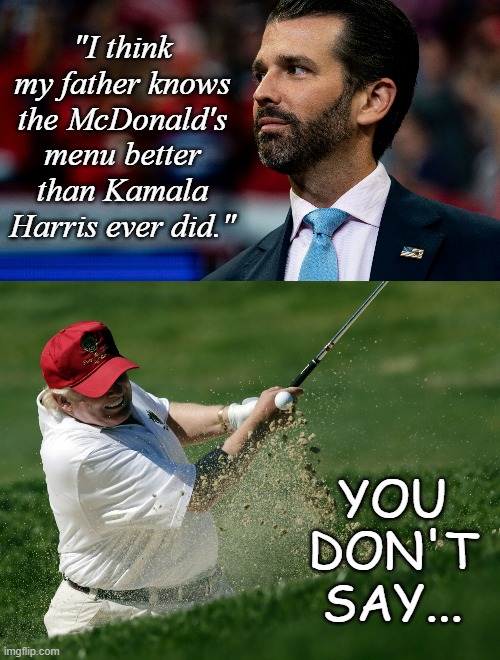 I believe you. | "I think my father knows the McDonald's menu better than Kamala Harris ever did."; YOU DON'T SAY... | image tagged in donald trump jr pic,fat trump golfing sand maga | made w/ Imgflip meme maker