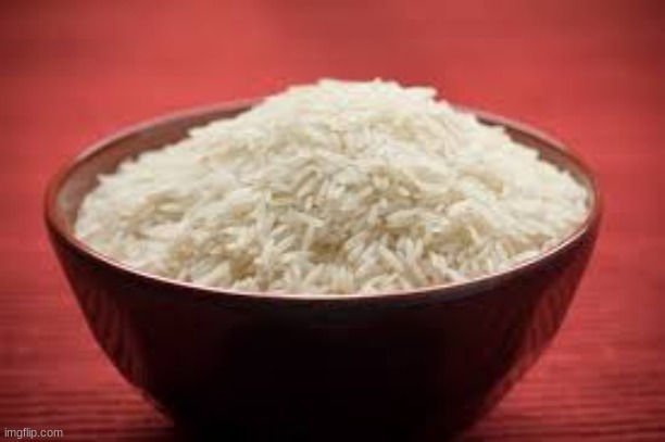 / | image tagged in all this rice | made w/ Imgflip meme maker