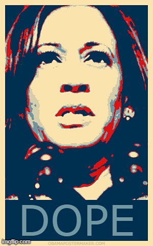 KAMALA DOPEY | image tagged in kamala harris,biden,coup,liar,disloyal,democratic party | made w/ Imgflip meme maker